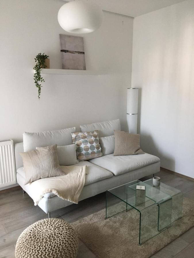 River Apartment Paraćin المظهر الخارجي الصورة